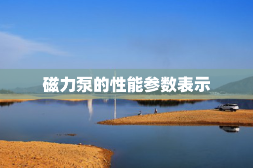 磁力泵的性能参数表示