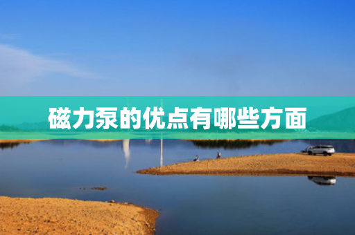 磁力泵的优点有哪些方面