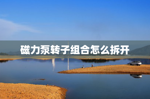 磁力泵转子组合怎么拆开