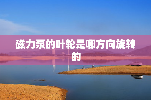 磁力泵的叶轮是哪方向旋转的