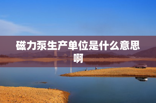 磁力泵生产单位是什么意思啊