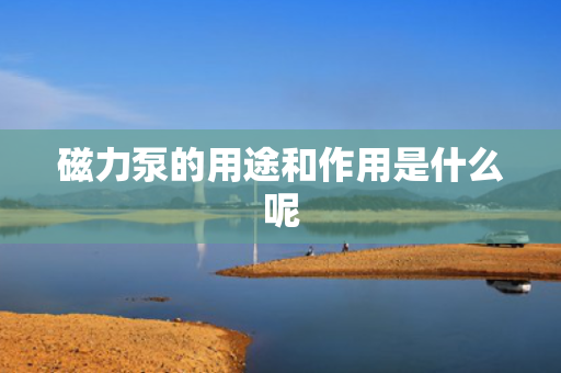 磁力泵的用途和作用是什么呢