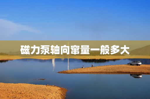 磁力泵轴向窜量一般多大