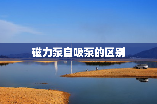 磁力泵自吸泵的区别