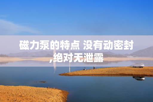 磁力泵的特点 没有动密封,***无泄露