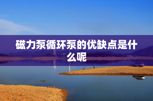 磁力泵循环泵的优缺点是什么呢