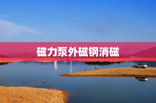 磁力泵外磁钢消磁