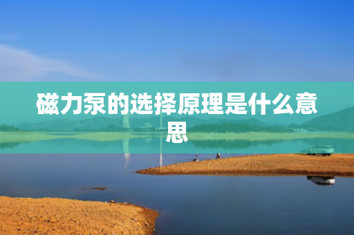 磁力泵的选择原理是什么意思