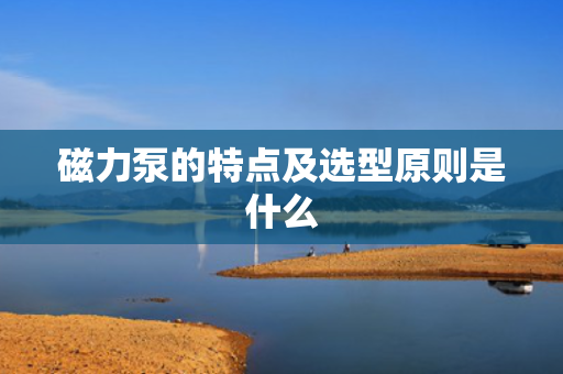 磁力泵的特点及选型原则是什么