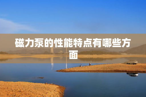 磁力泵的性能特点有哪些方面