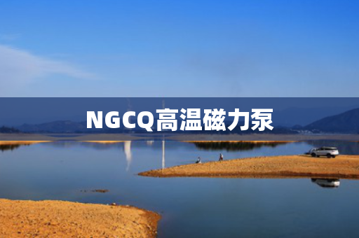 NGCQ高温磁力泵