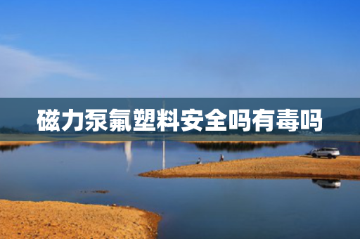 磁力泵氟塑料安全吗有毒吗