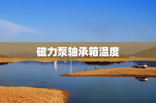 磁力泵轴承箱温度