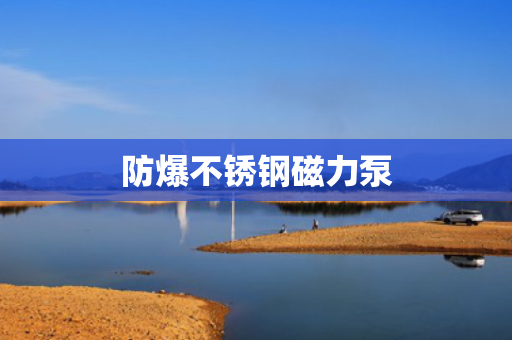 防爆不锈钢磁力泵