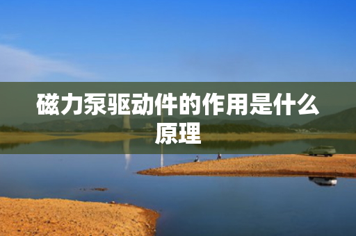 磁力泵驱动件的作用是什么原理