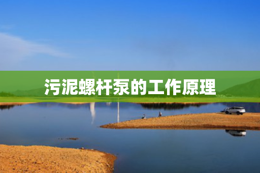 污泥螺杆泵的工作原理