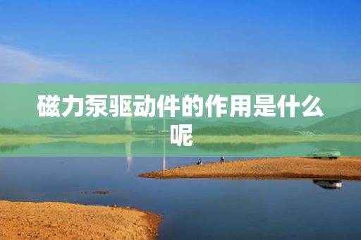 磁力泵驱动件的作用是什么呢