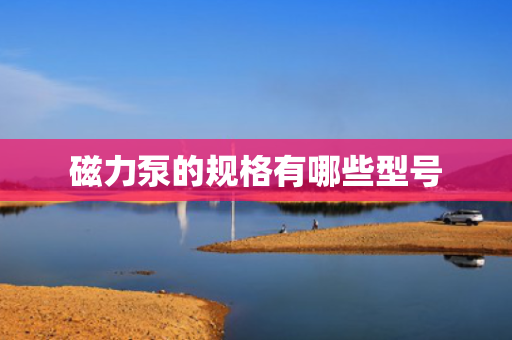 磁力泵的规格有哪些型号