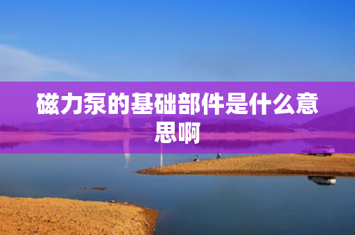 磁力泵的基础部件是什么意思啊 磁力泵的基础部件是什么意思啊