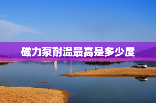 磁力泵耐温***高是多少度