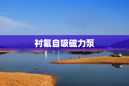 衬氟自吸磁力泵