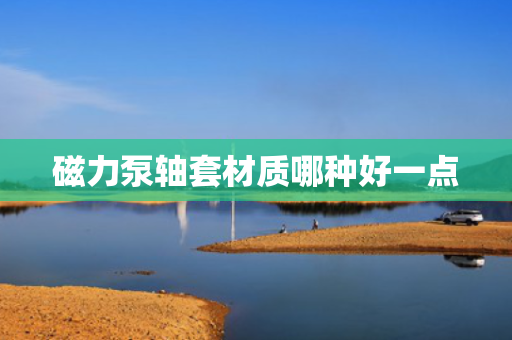 磁力泵轴套材质哪种好一点