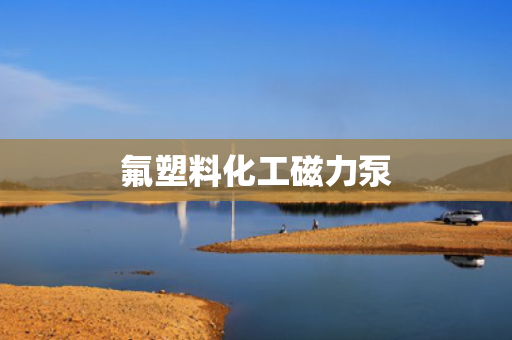 氟塑料化工磁力泵 氟塑料化工磁力泵