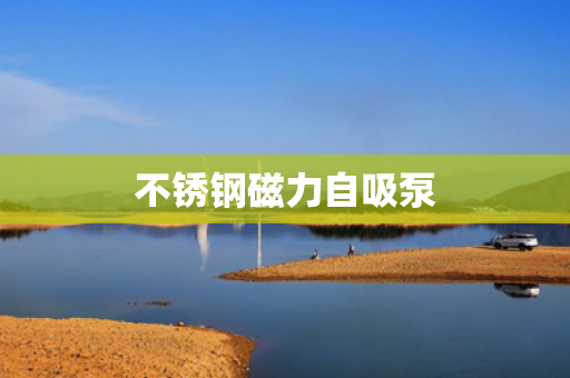 不锈钢磁力自吸泵