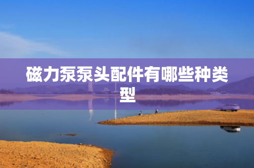 磁力泵泵头配件有哪些种类型