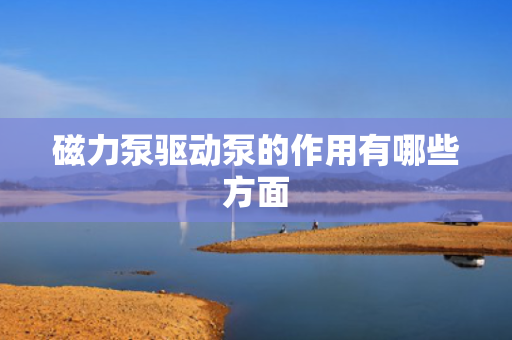 磁力泵驱动泵的作用有哪些方面