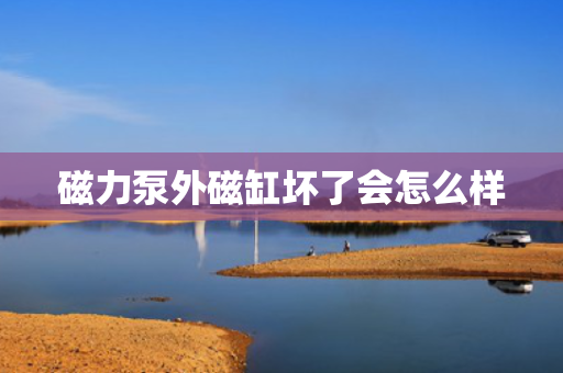 磁力泵外磁缸坏了会怎么样