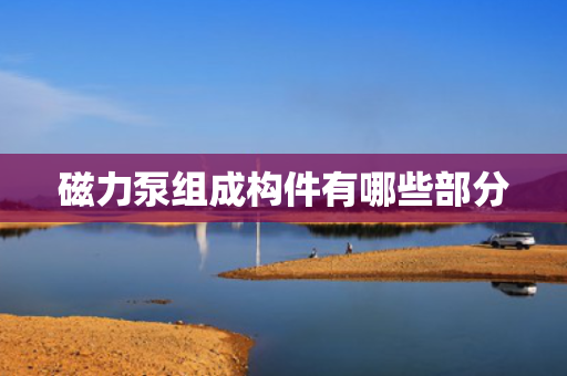 磁力泵组成构件有哪些部分