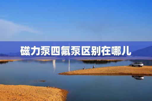 磁力泵四氟泵区别在哪儿