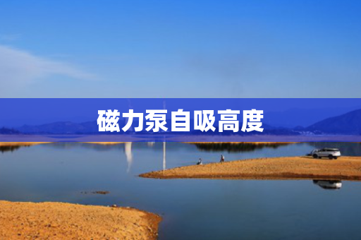 磁力泵自吸高度