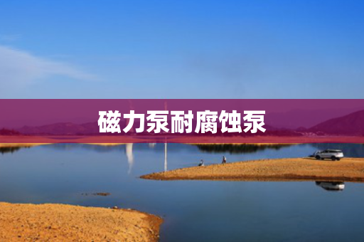 磁力泵耐腐蚀泵