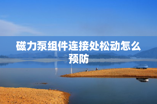 磁力泵组件连接处松动怎么预防