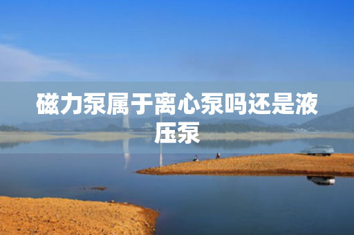 磁力泵属于离心泵吗还是液压泵