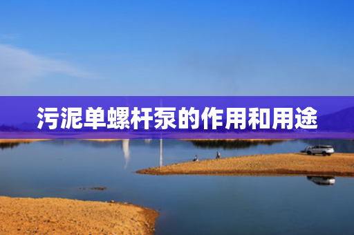 污泥单螺杆泵的作用和用途