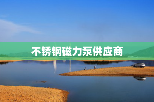 不锈钢磁力泵供应商