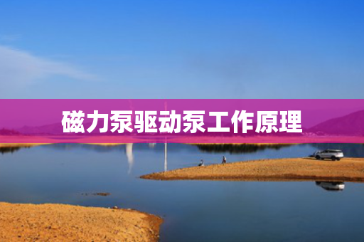 磁力泵驱动泵工作原理