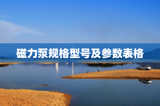 磁力泵规格型号及参数表格