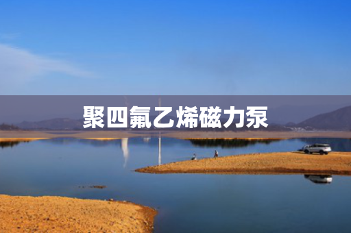 聚四氟乙烯磁力泵