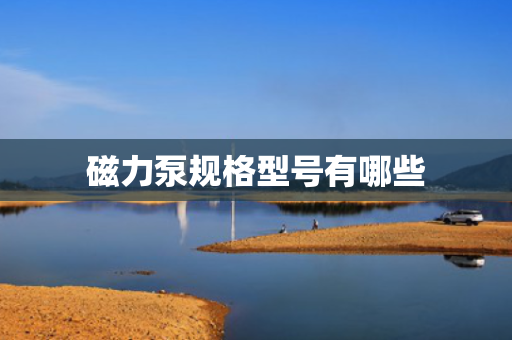 磁力泵规格型号有哪些