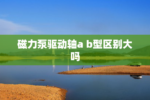 磁力泵驱动轴a b型区别大吗