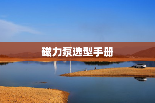 磁力泵选型手册