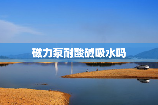 磁力泵耐酸碱吸水吗