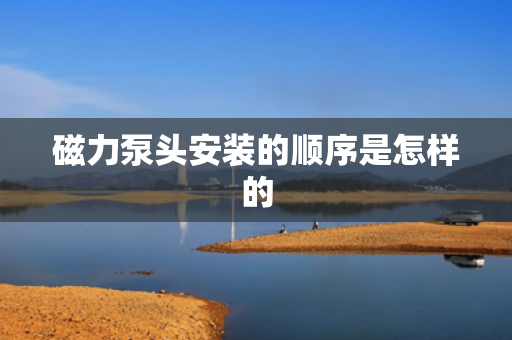 磁力泵头安装的顺序是怎样的