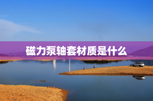 磁力泵轴套材质是什么