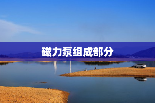 磁力泵组成部分