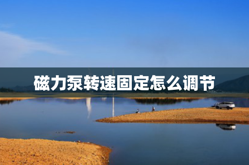 磁力泵转速固定怎么调节 磁力泵转速固定怎么调节